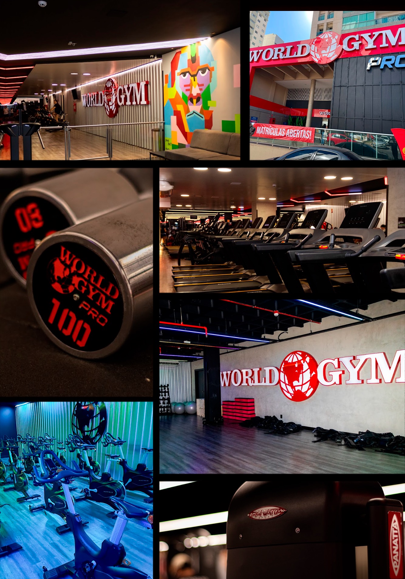 Mosaico de fotos da estrutura da World Gym PRO: recepção, área de peso livre, esteiras, sala de spinning e equipamentos